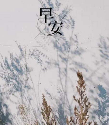 Java的主要作用